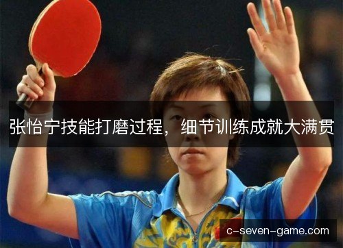张怡宁技能打磨过程，细节训练成就大满贯